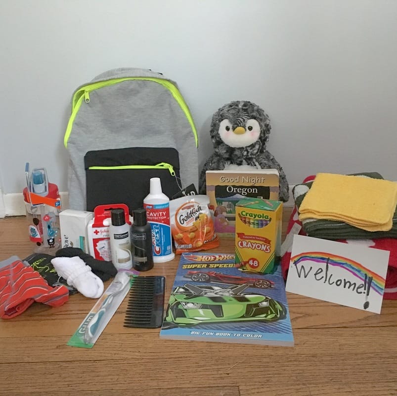 Picture of the contents of a Kid Butterfly Box.